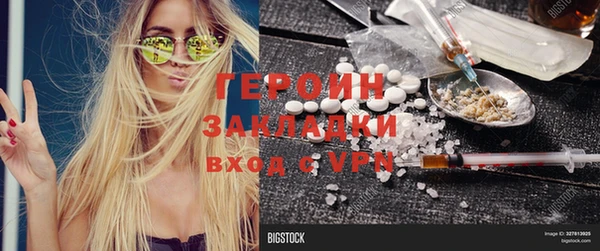 сатива Новозыбков