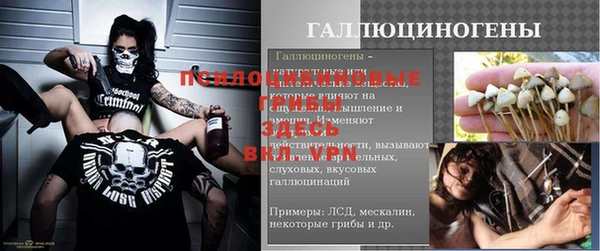 кокс Няндома