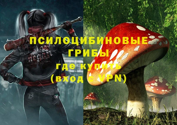 кокс Няндома