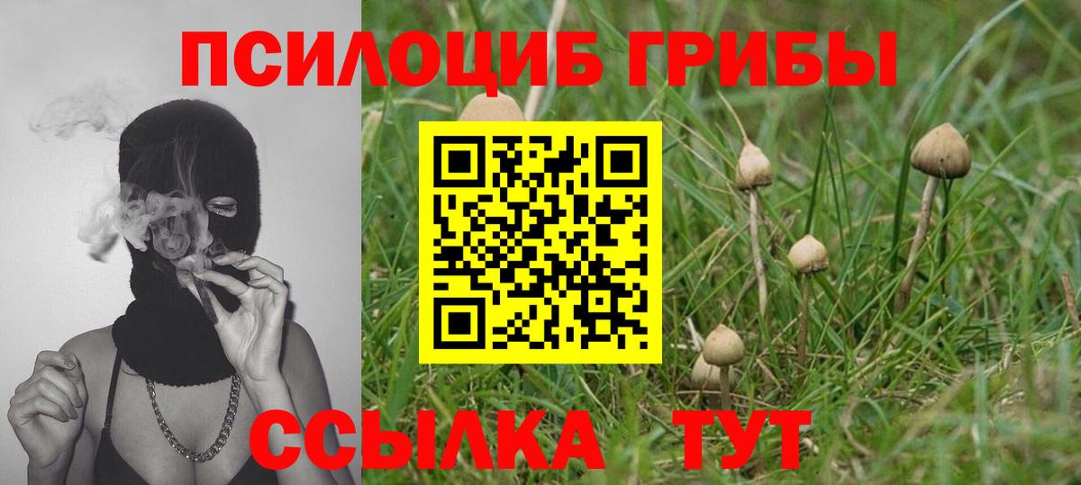 Галлюциногенные грибы GOLDEN TEACHER Балахна