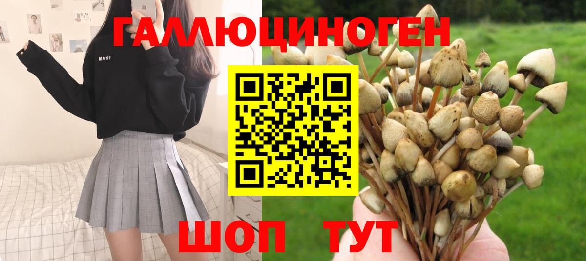 Галлюциногенные грибы прущие грибы  Псилоцибиновые грибы Cubensis  Вход с VPN  Балахна 